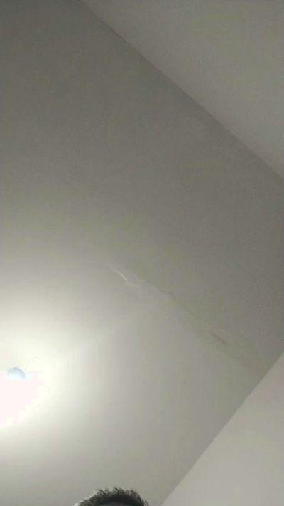 timido_98