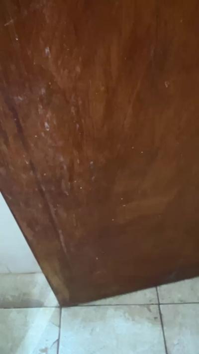 titonita04