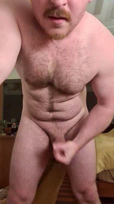 tommybear