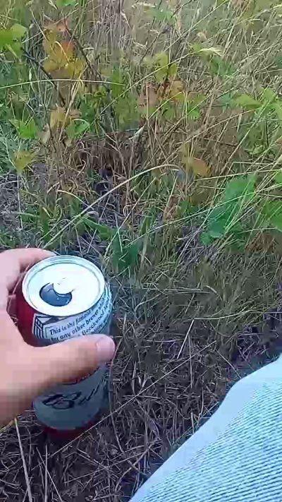 toninohot
