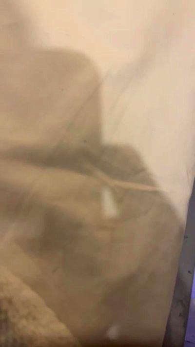 toyboyshow_xxx
