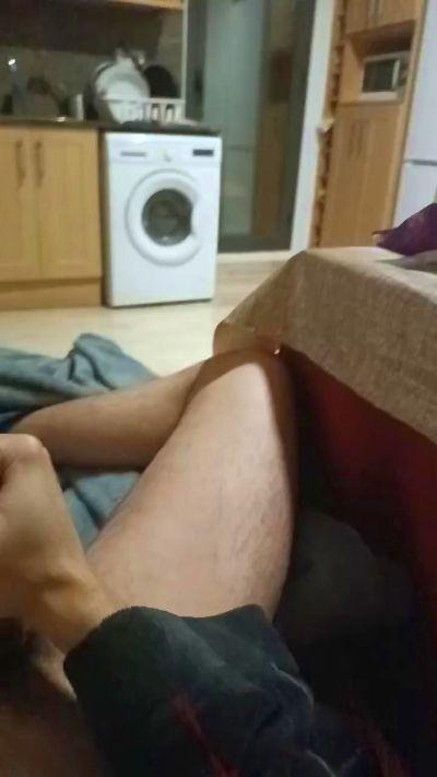 trainerpollon24