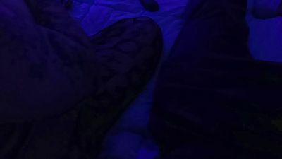 trapdaddy694