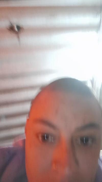 troy_3