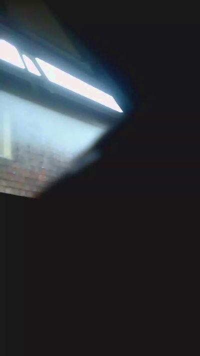 tstraightboii