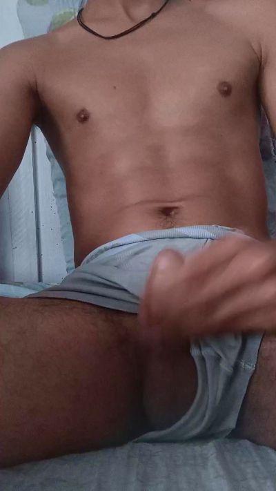 willian288