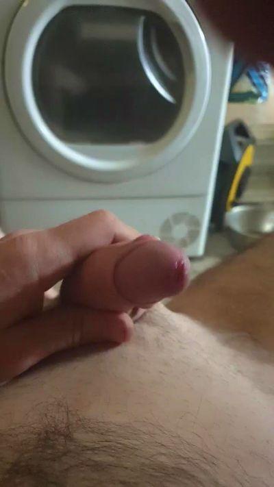 willy380