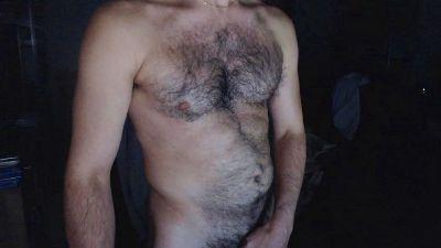 wolfy_for_bears