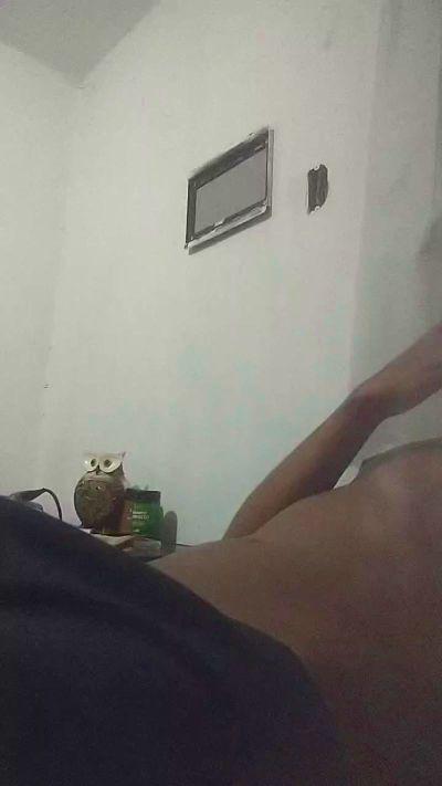 xnovin2