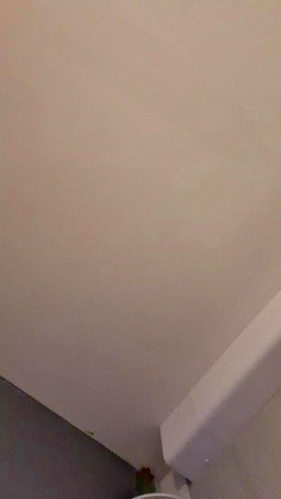 xxl_77