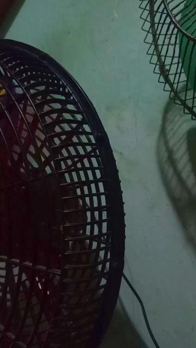 yilber8
