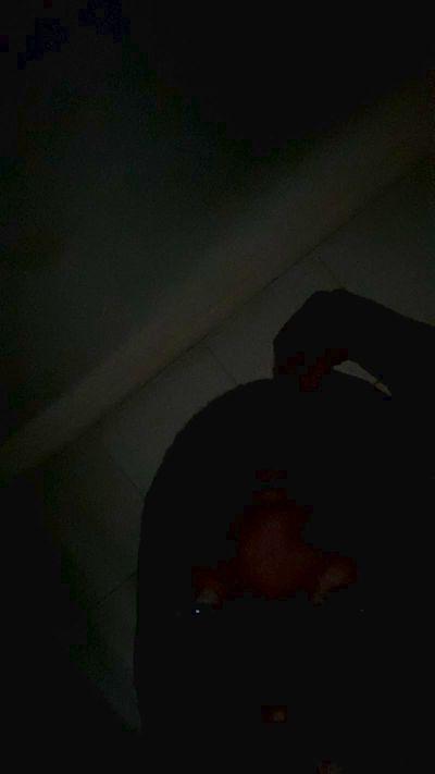 youngdon2