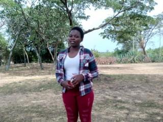 Beey