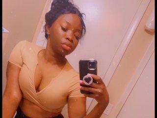 ChocolateDessert