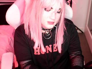 NikolaStrife