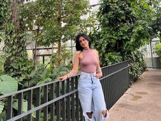 arye_lle