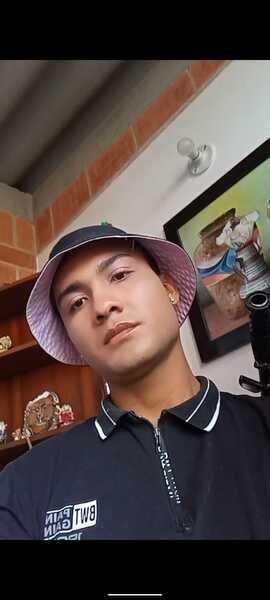 steffangallician