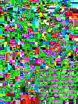 228fucker