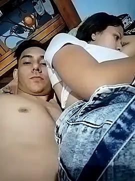 31134daile
