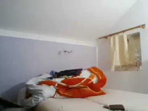 82liska