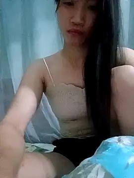 ANALOPEN1