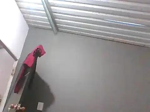 Aguasalvajedelsur2323