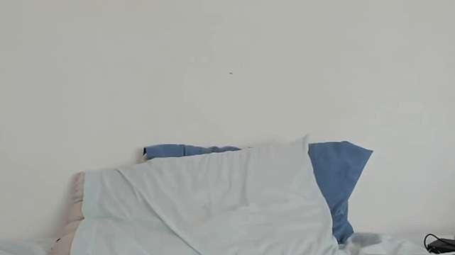 AlicesHouse