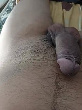 Amdy29
