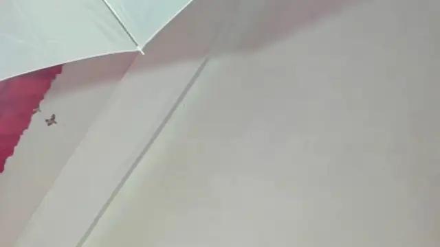 Anitnelav_