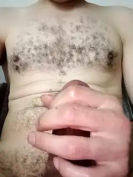Arabian