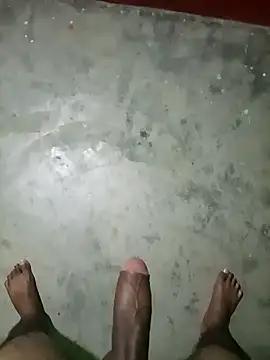 Assamese_Sunny2