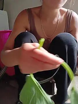 Aurora_Nova