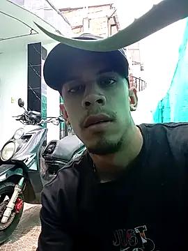 Bartisam