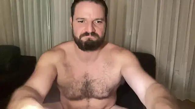 BeefyShark