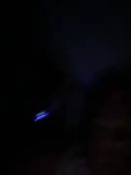 BiigMAMA_2025