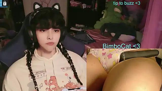 BimboCat