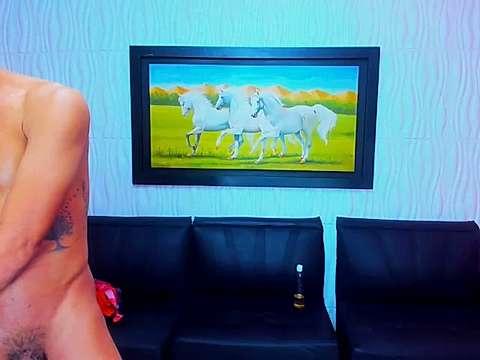 Boycockhard_