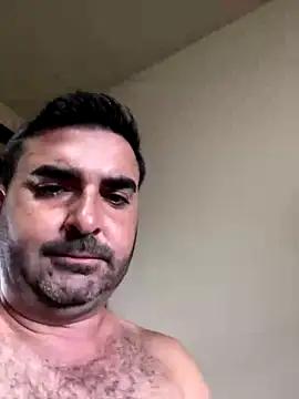 Casal100noviidades