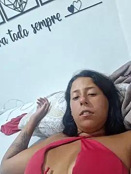 Casal4i20_v8