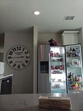 CumDumpPig83