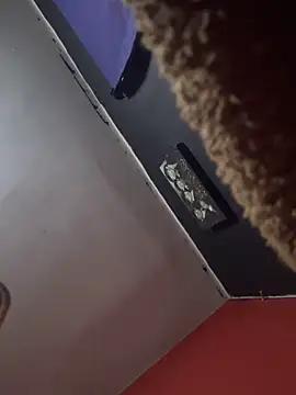 Dannipen