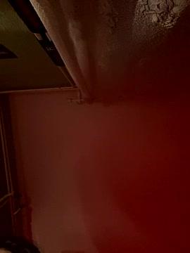 Demonella2222