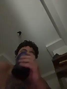 DieMitransarinos