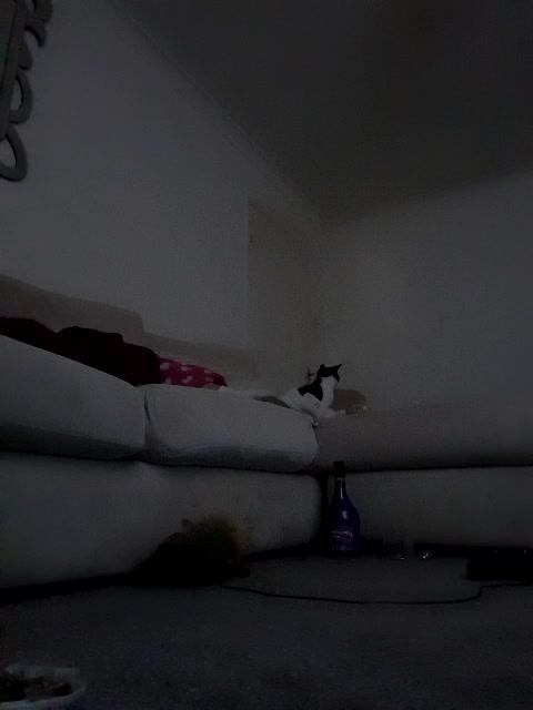DobbyDob420