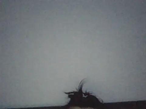 FallenDevil
