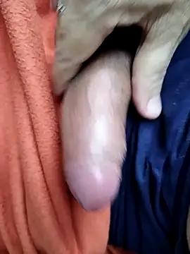 GOLOXO66