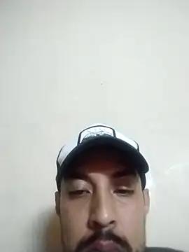 Gato33311
