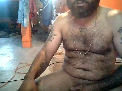 HairyVersBear