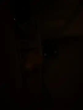 Hereforpussys