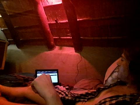 Hornycub6996